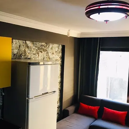 Mutfakli 1+1 Yeni Dizayn Yapilmis Muhtesem Daire Istanbul