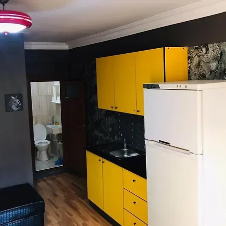Mutfakli 1+1 Yeni Dizayn Yapilmis Muhtesem Daire Apartment *